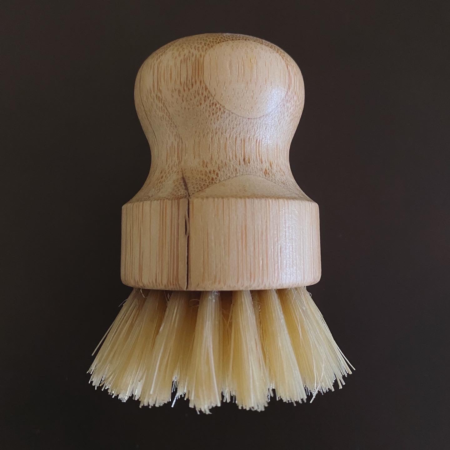 Short Handle Bamboo Dish Brush
